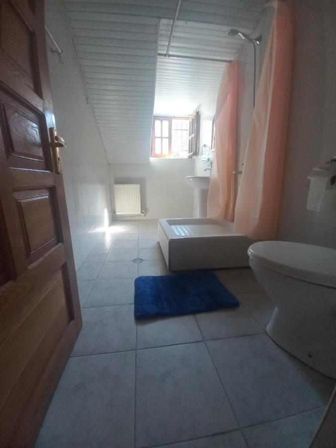 Alpha Tbilisi Hotel Kültér fotó